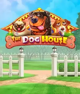 От Pragmatic Play представлен The Dog House, демонстрирующий прекрасное переживание среди любимых собак. Откройте для себя игровых элементах включая множители, идеальных для доставления волнующих выигрышей. Отлично для энтузиастов животных легкую атмосферу наряду с щедрыми наградами.